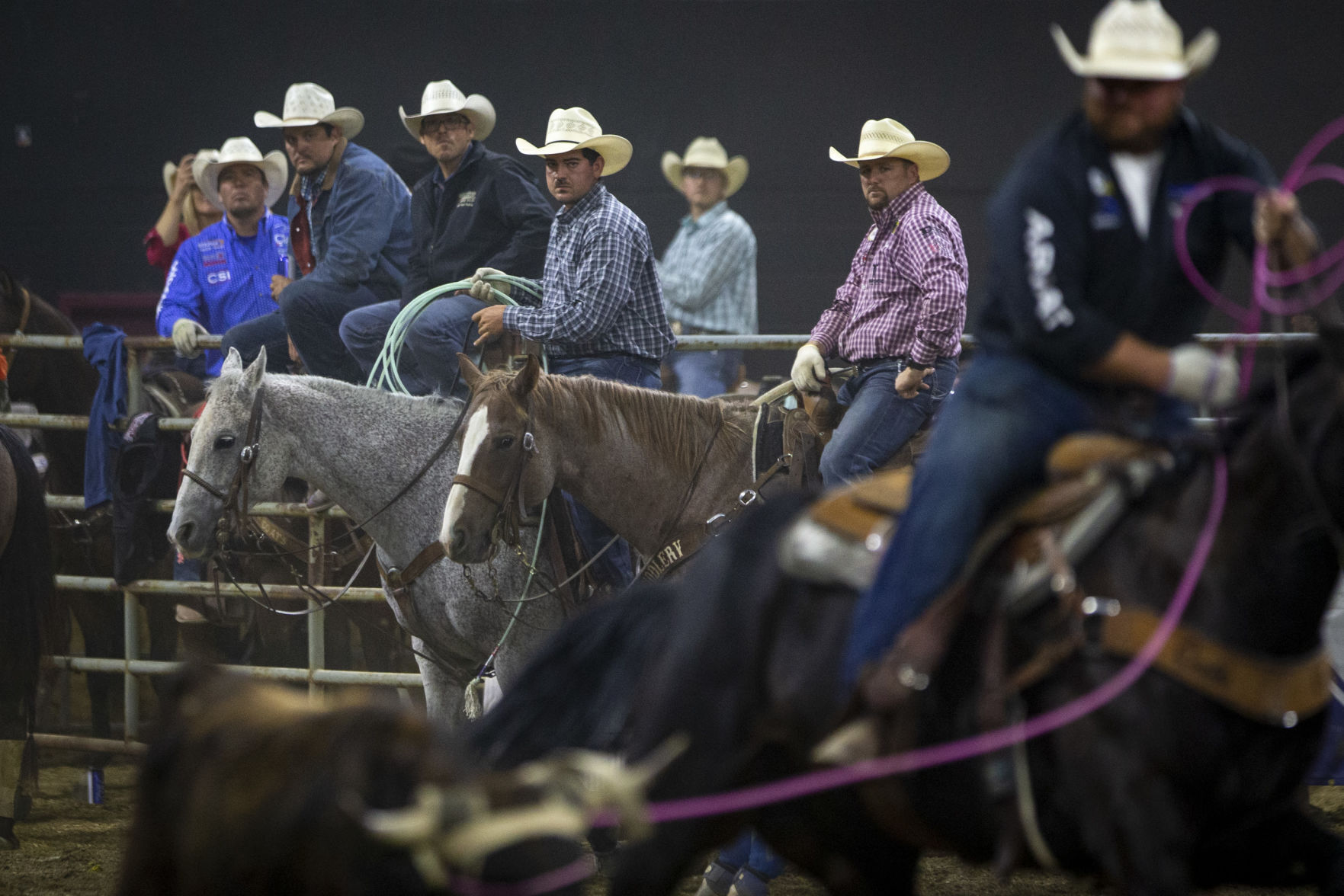 Wrangler Team Roping Championship